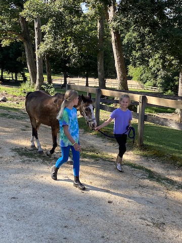 Tall Cedars Farm