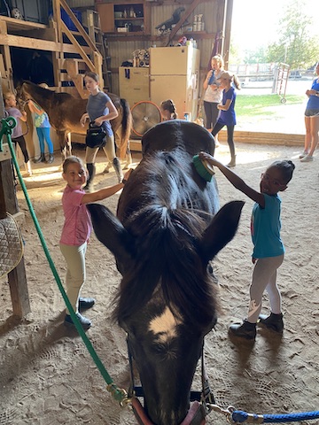 Tall Cedars Farm